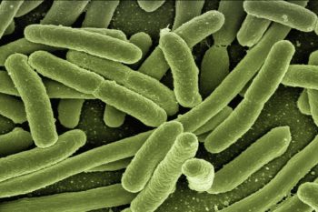 Tackling superbug CPE in your care home